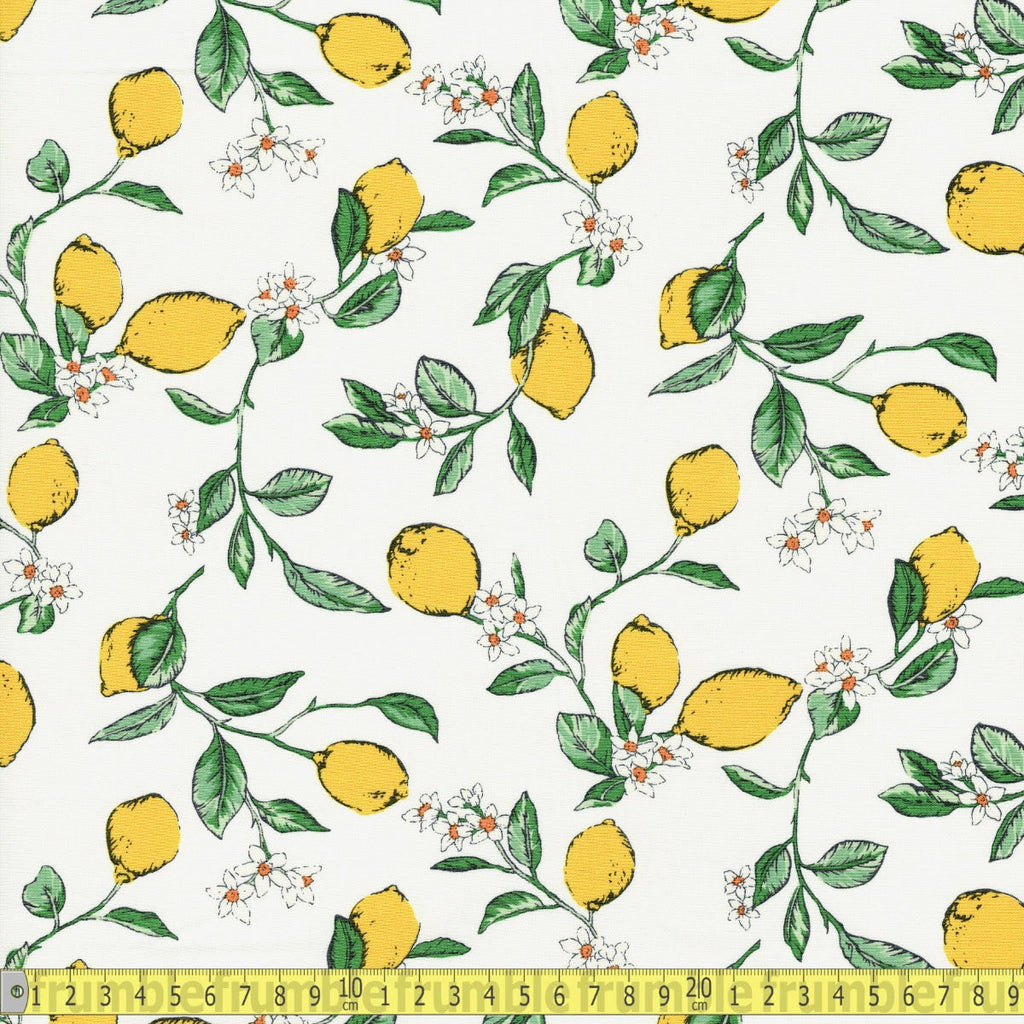 Cotton Poplin - In The Lemon Tree - Ivory Cream - Sewing and Dressmaking Fabric