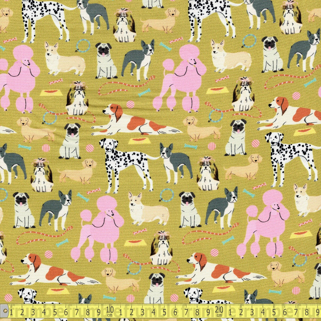Dear Stella - Dog Days Guilty Dogs - Gold - Sewing and Dressmaking Fabric