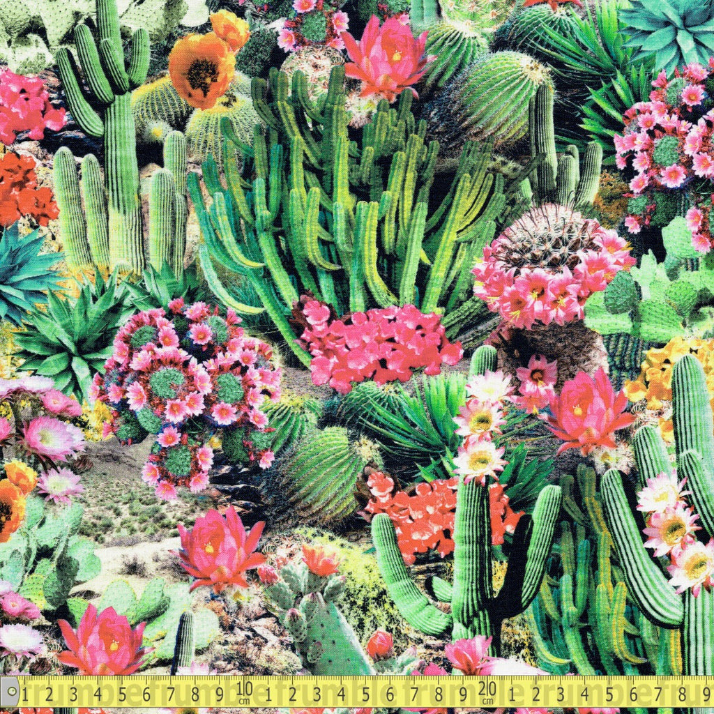 Timeless Treasures - Cactus Flowers Bloom - Multi - Sewing and Dressmaking Fabric
