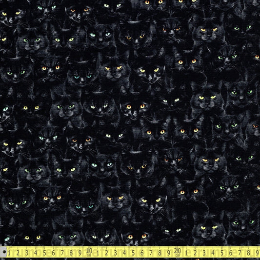 Timeless Treasures - Wicked Black Cats Magic - Black - Sewing and Dressmaking Fabric