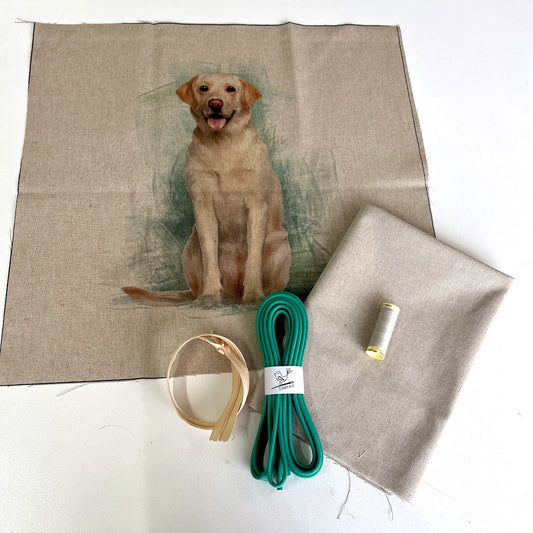 Labrador Cushion Panel Project Piped Kit  (zip+envelope) Teal