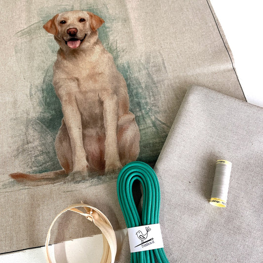 Labrador Cushion Panel Project Piped Kit  (zip+envelope) Teal