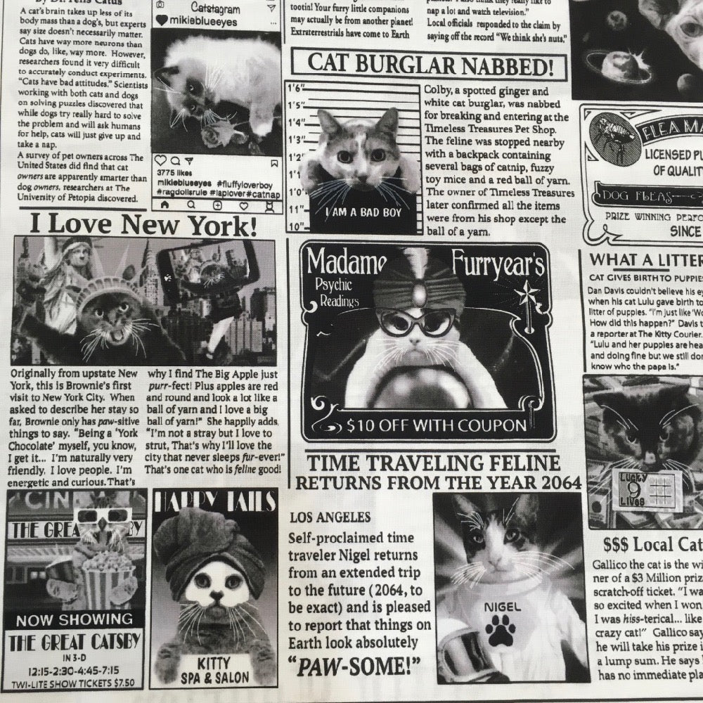 Cat Burglar Newsprint - Frumble Fabrics