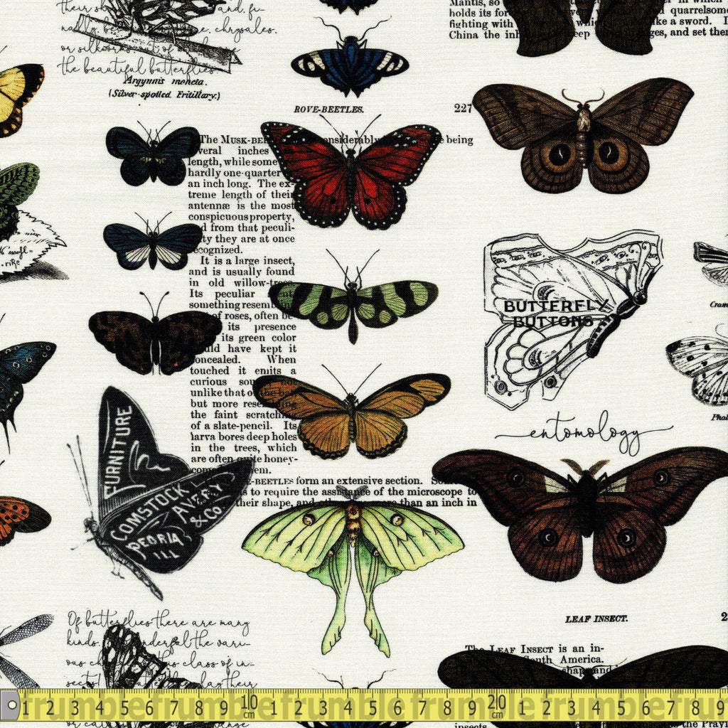 Riley Blake Fabric - Art Journal Butterflies - Light Grey Sewing and Dressmaking Fabric