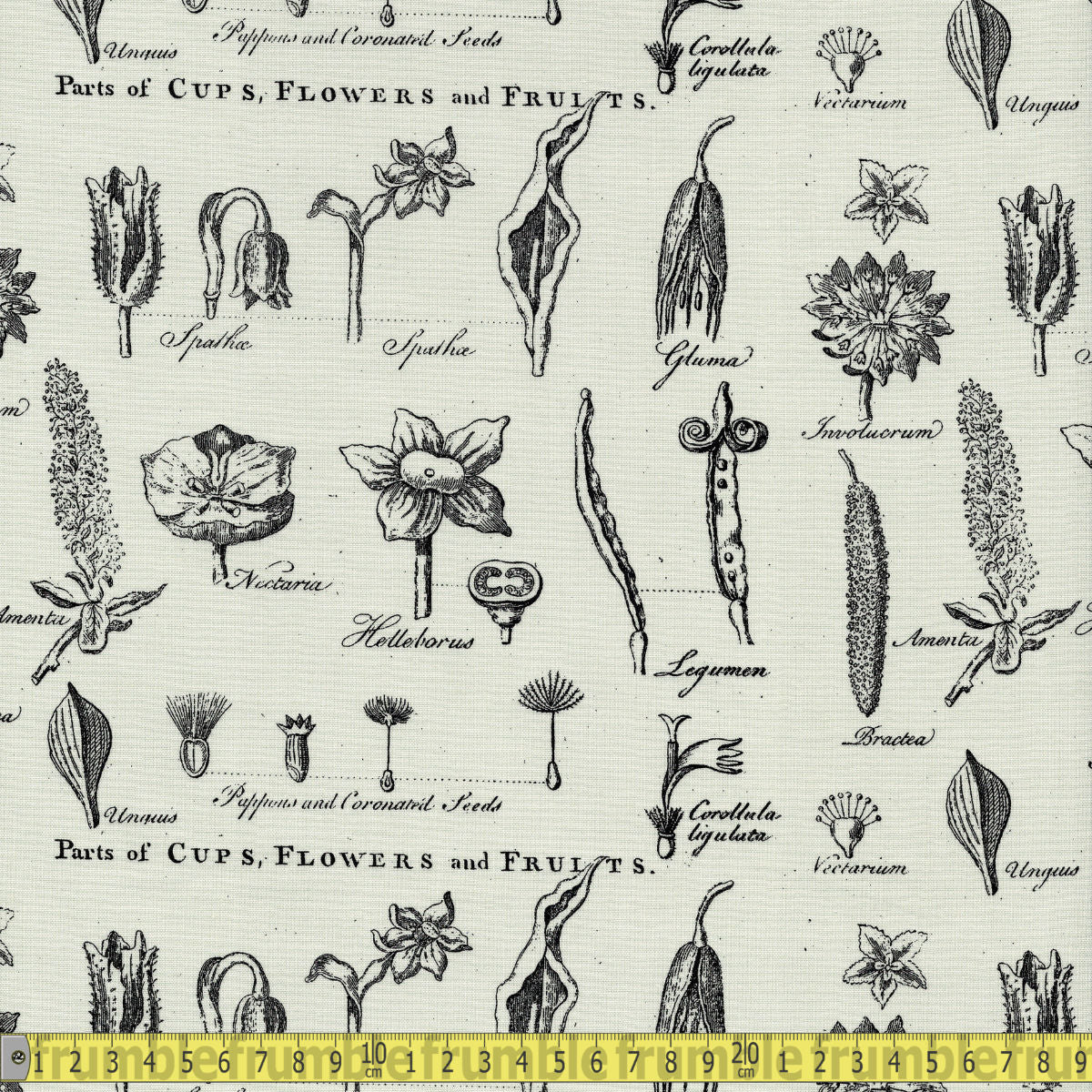 Riley Blake Fabric - Art Journal Flower Study - Light Grey Sewing and Dressmaking Fabric