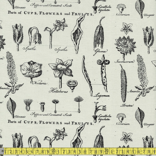 Riley Blake Fabric - Art Journal Flower Study - Light Grey Sewing and Dressmaking Fabric