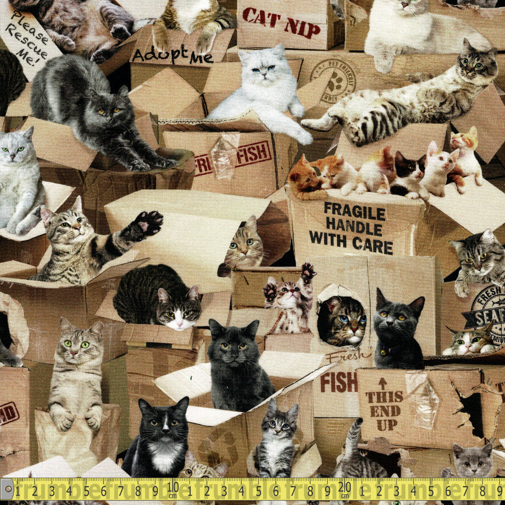 Timeless Treasures Fabric - Cats in Boxes - Multi Sewing and Dressmaking Fabric