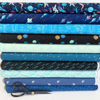 Art Gallery Fabrics - Rocket Science - Zero Gravity