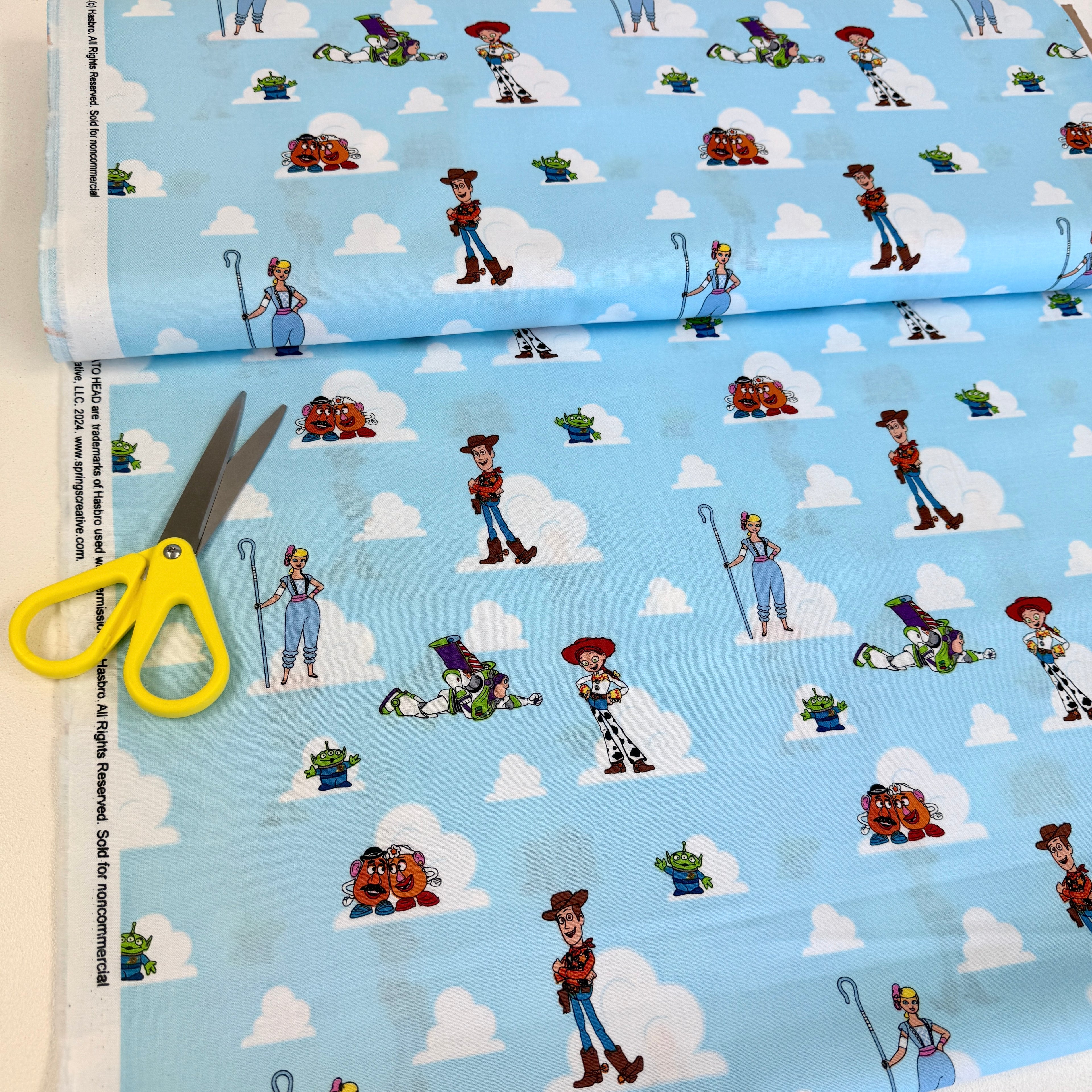 Springs Creative - Toy Story - Friends Sketch