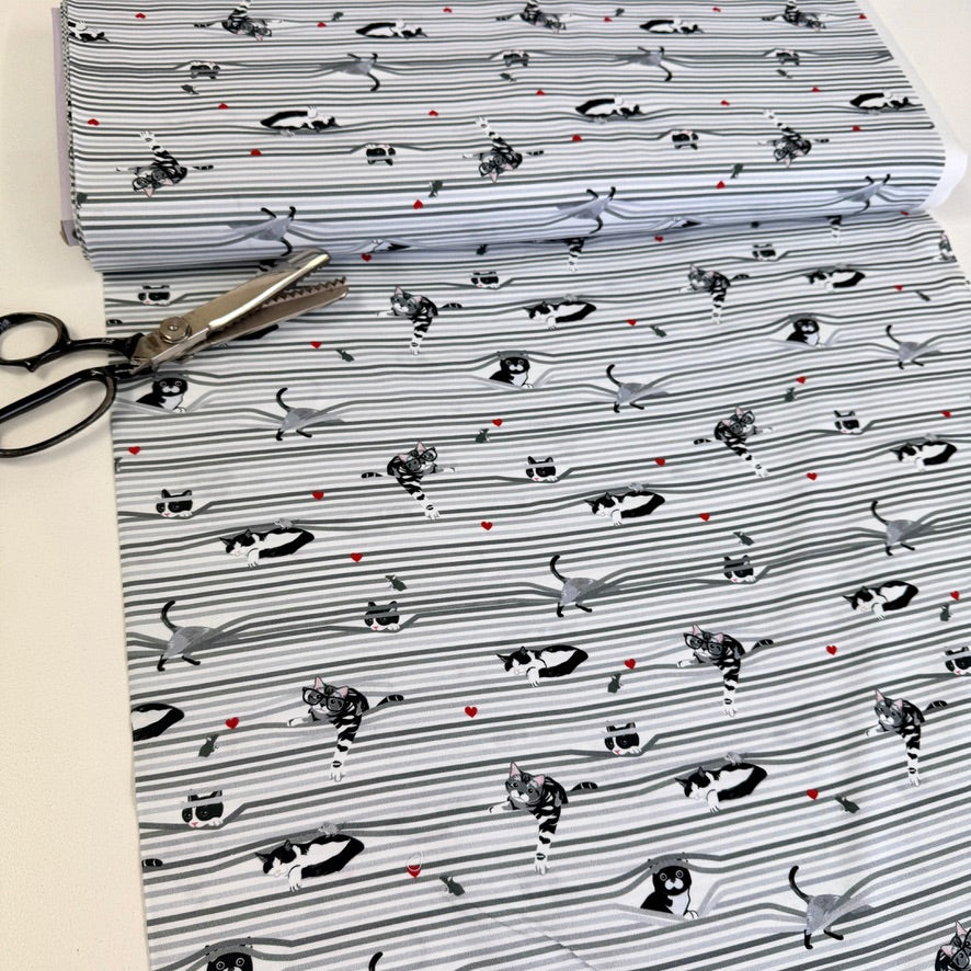 Timeless Treasures - Peekaboo Shade Cats - White