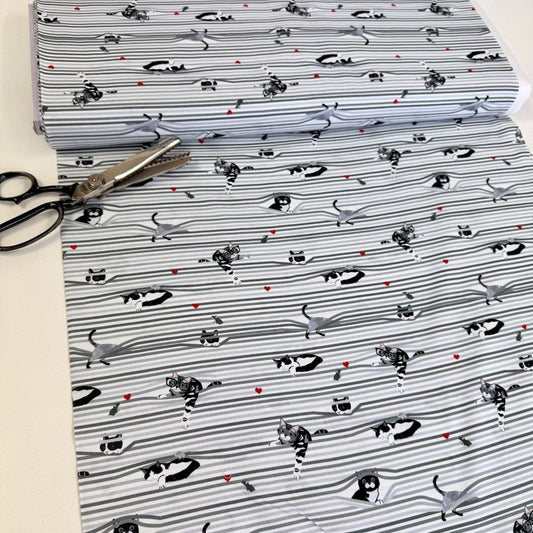 Timeless Treasures - Peekaboo Shade Cats - White