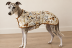 Happiness is Pawsome Dog (Cream) Cotton Fabric by Timeless Treasures