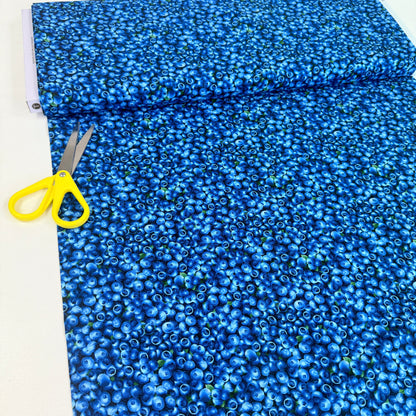 Timeless Treasures - Fruits - Packed Blueberries Blue