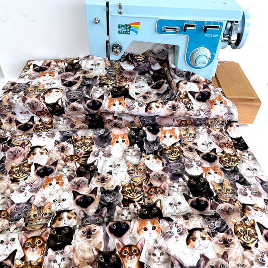 Cotton CANVAS - Cat Portraits - Multi