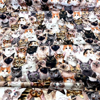 Cotton CANVAS - Cat Portraits - Multi