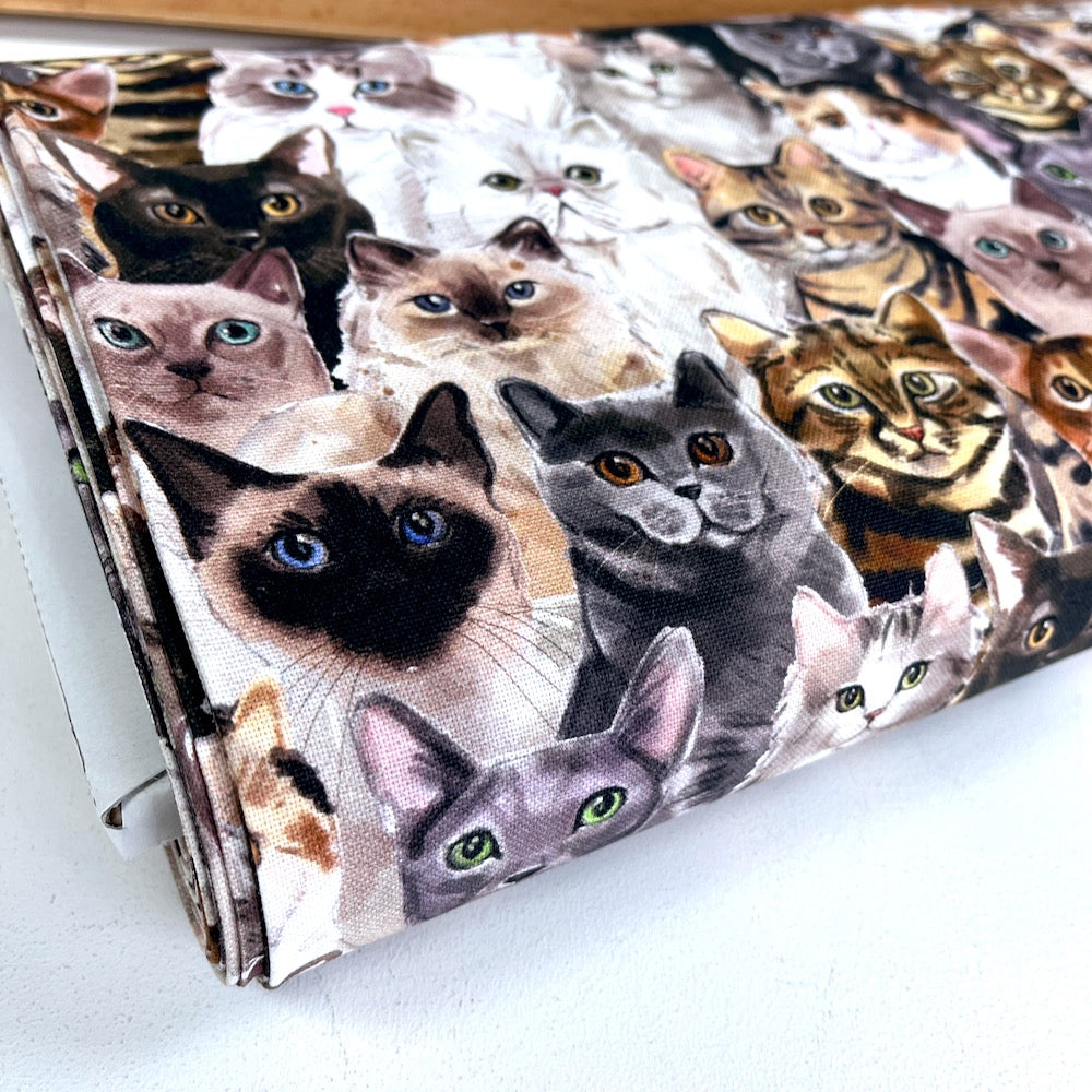 Cotton CANVAS - Cat Portraits - Multi