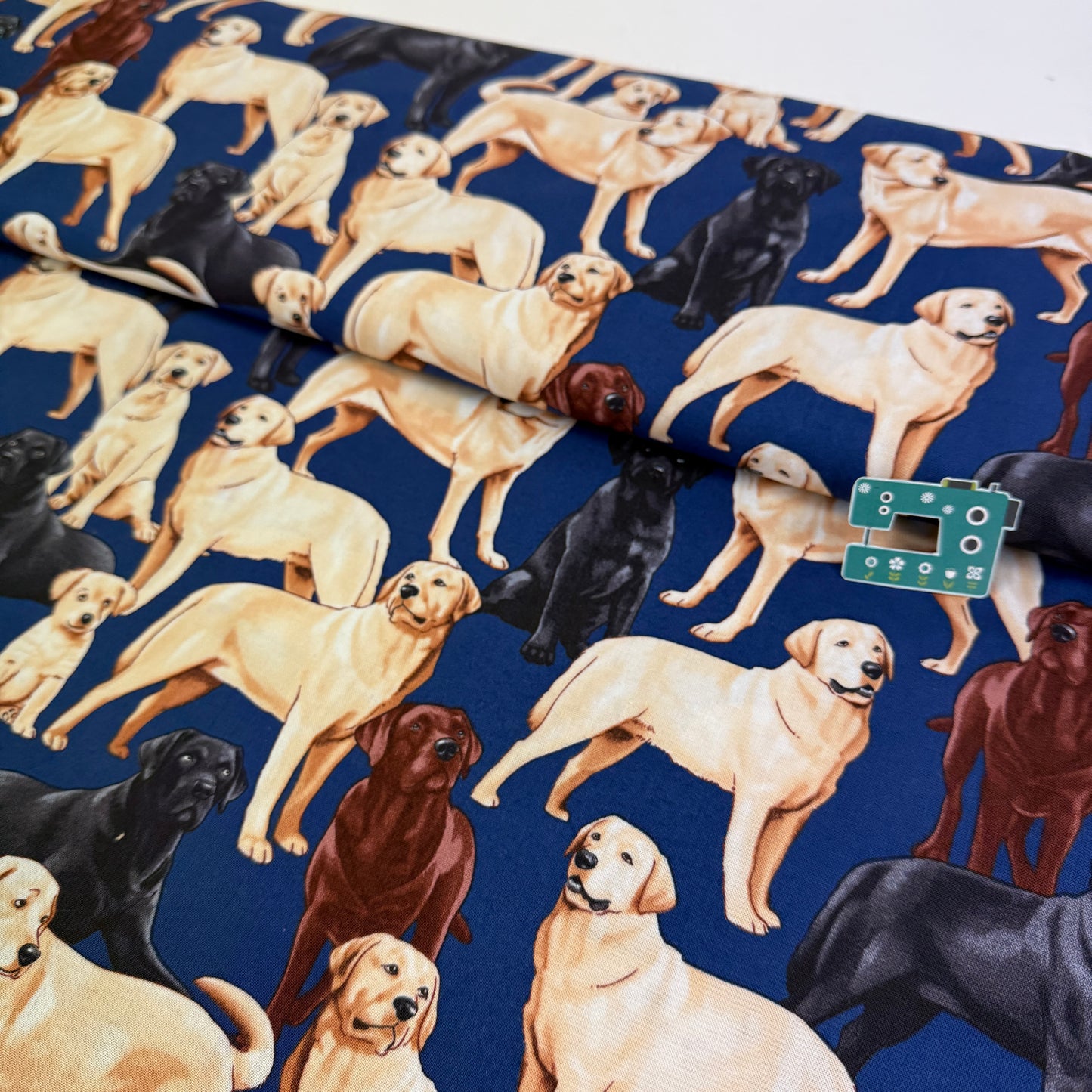 Timeless Treasures - Labradors - Navy