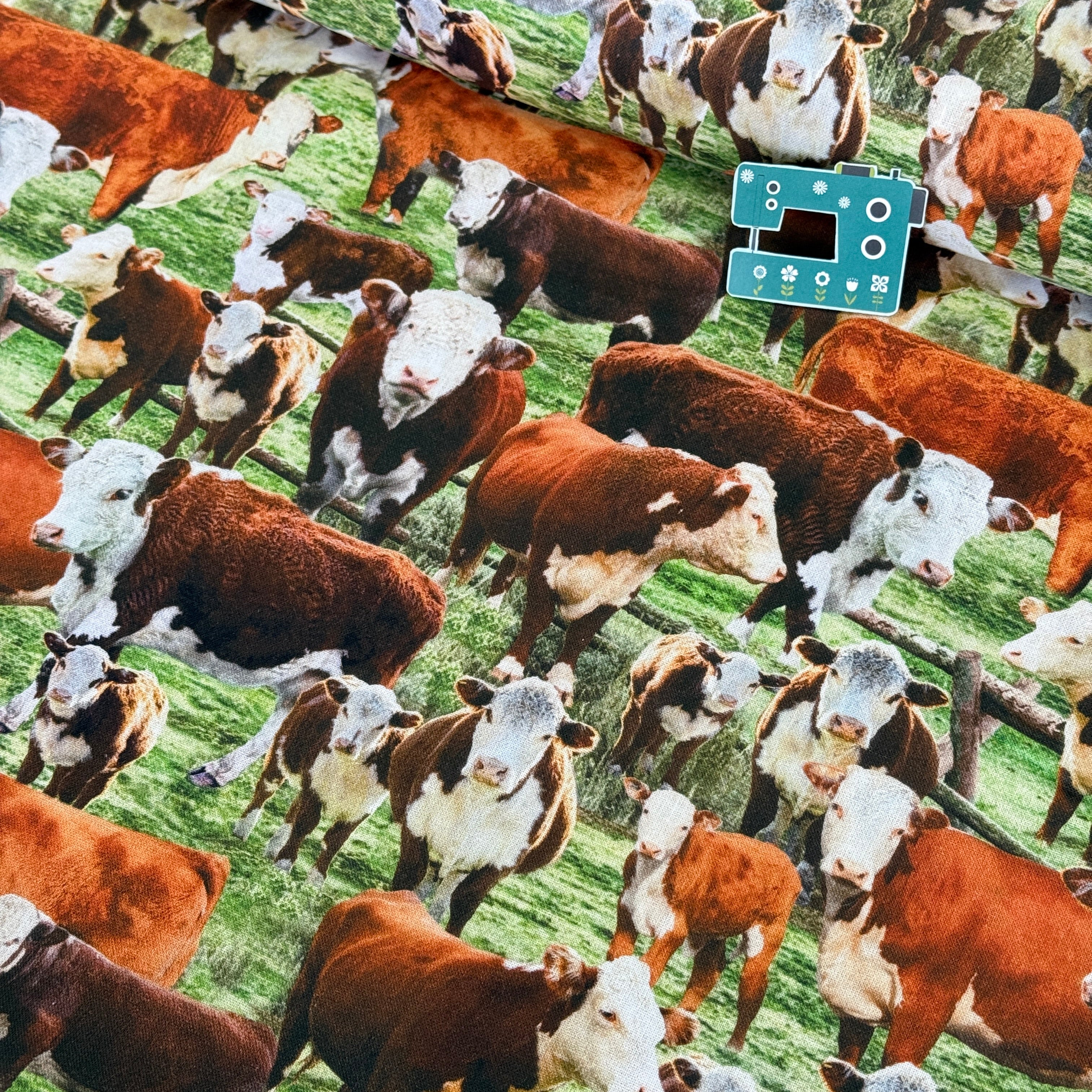 Hereford Cows In The Field (Multi) Fabric by Timeless Treasures