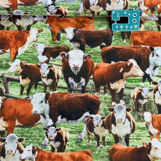 Hereford Cows In The Field (Multi) Fabric by Timeless Treasures