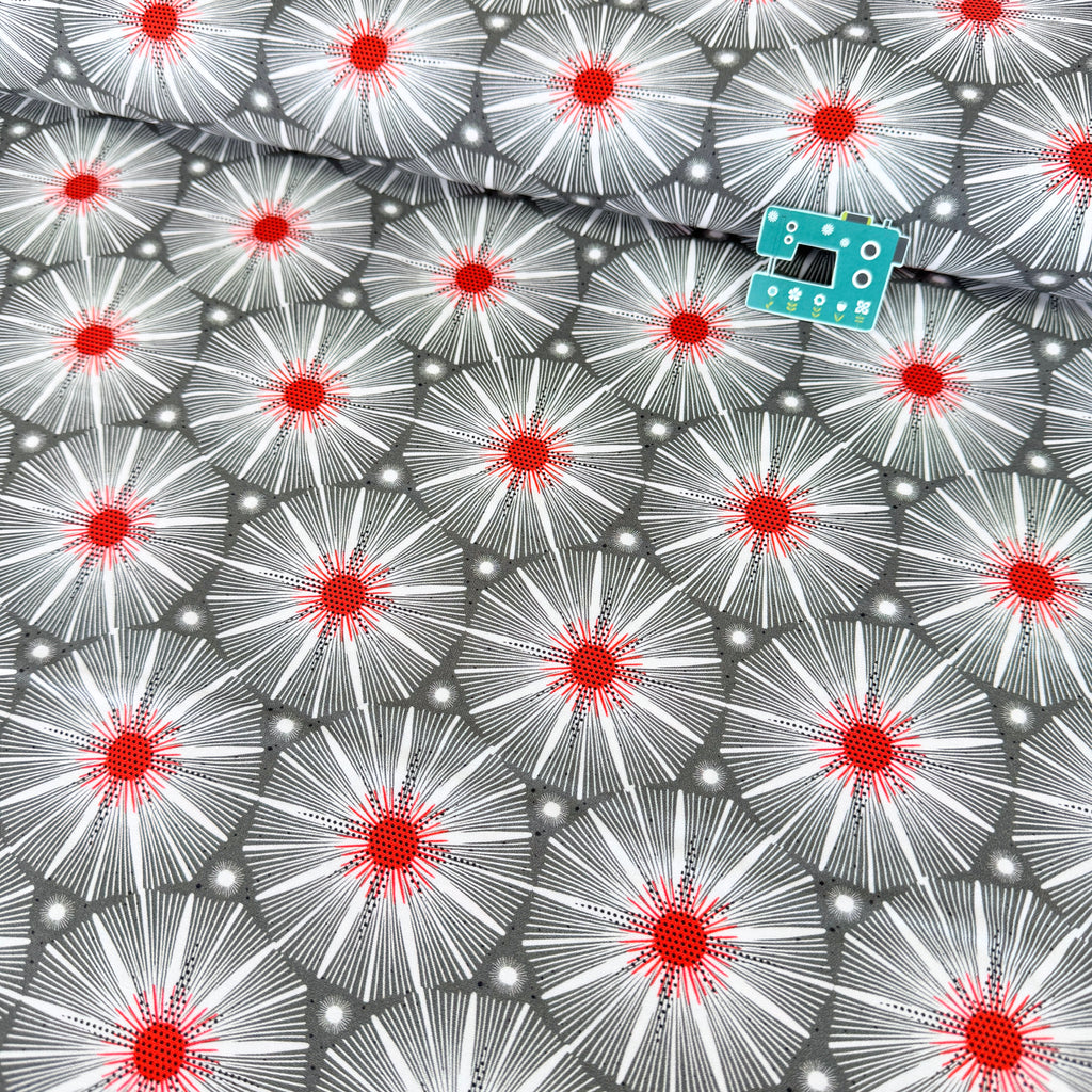 Blast Off Supernova (Grey) GOTS Organic Fabric by Cloud 9