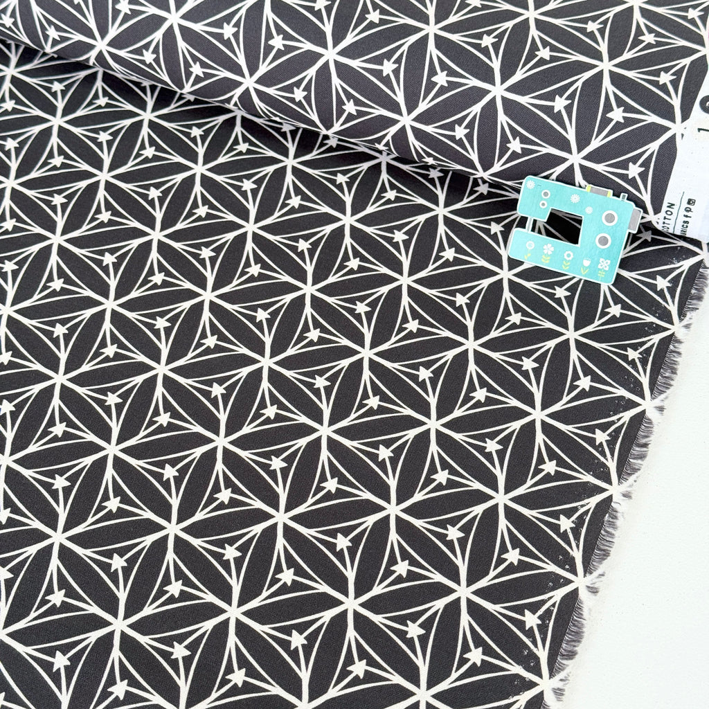 Blast Off Stargazer (Dark Grey) GOTS Organic Fabric by Cloud 9