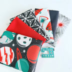 Fat Quarter Bundles: Blast Off - Organic
