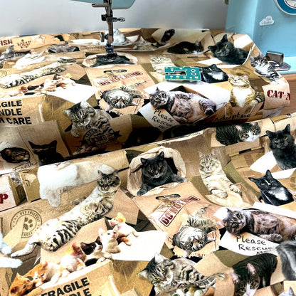 Timeless Treasures Fabric - Cats in Boxes - Multi