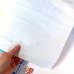 12" Lite Steam-A-Seam 2: Double Stick Fusible Web (Per Metre)