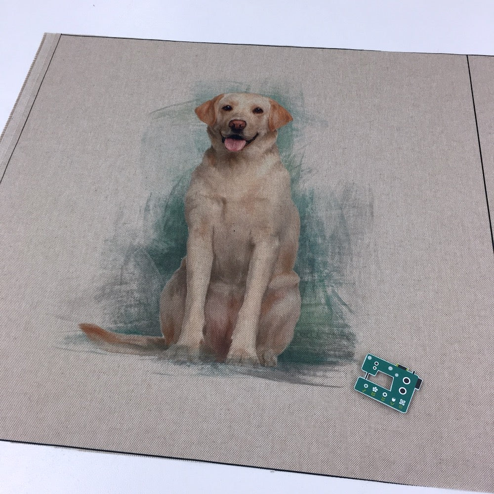 Cushion Panel - Pet Labrador Dog - Linen Look Canvas