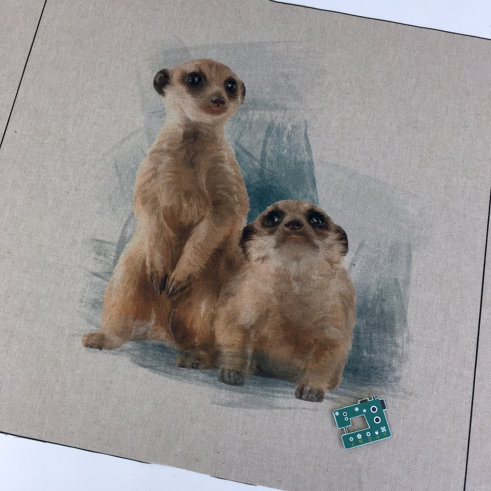 Cushion Panel - Cute Meerkats - Linen Look Canvas