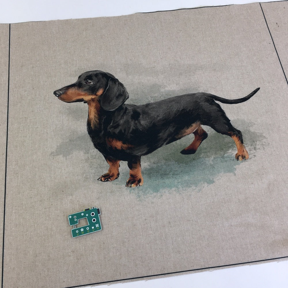DIY Cushion Panel - Dachshund Dog - Linen Look Canvas