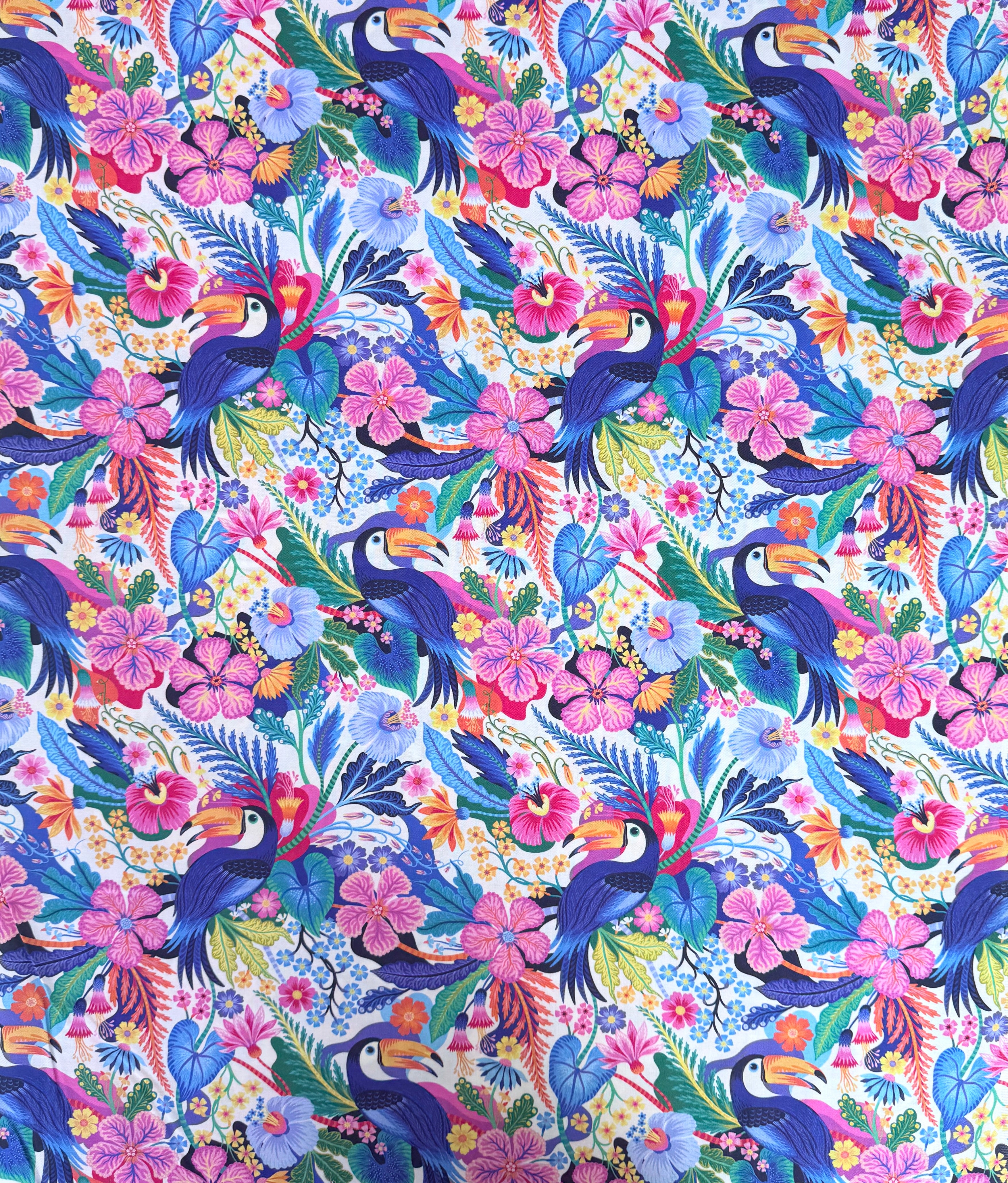 Toucan Play That (Multi) by Dear Stella
