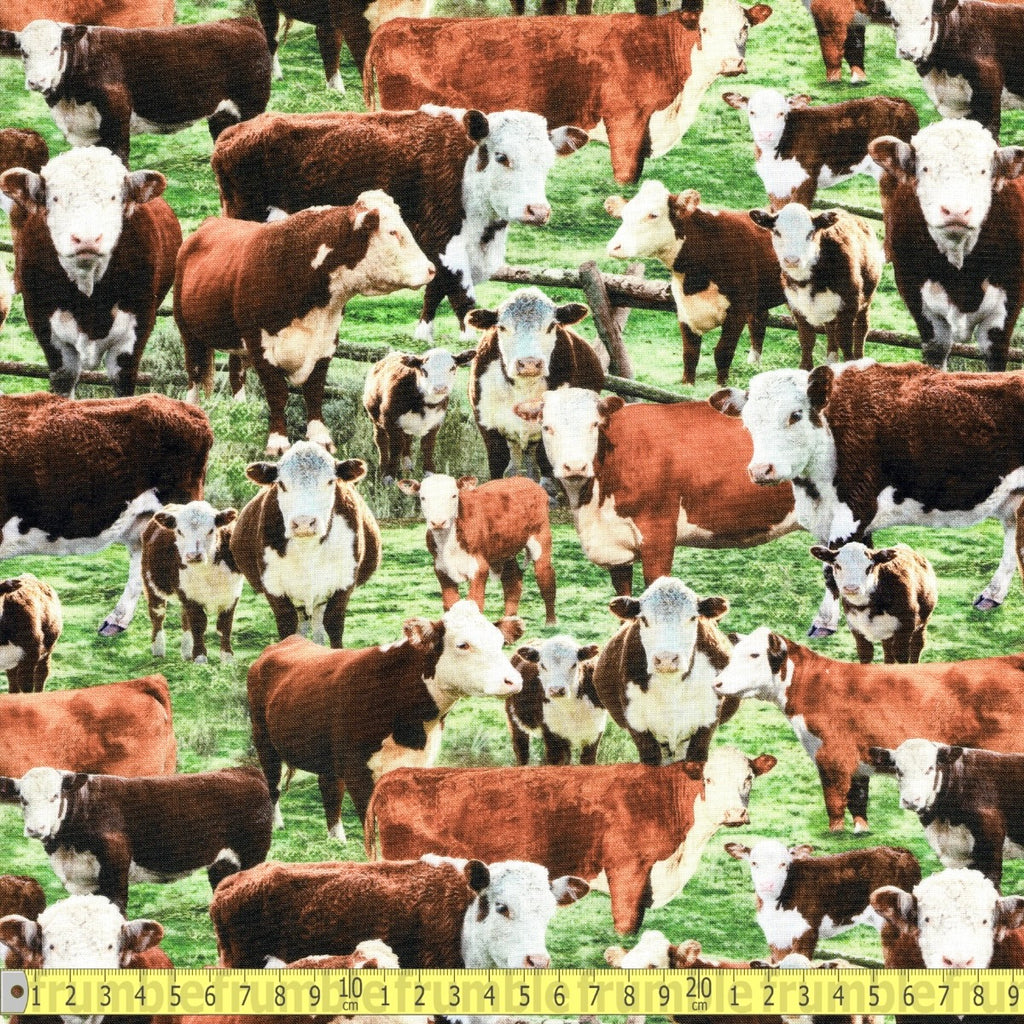 Hereford Cows In The Field (Multi) Fabric by Timeless Treasures