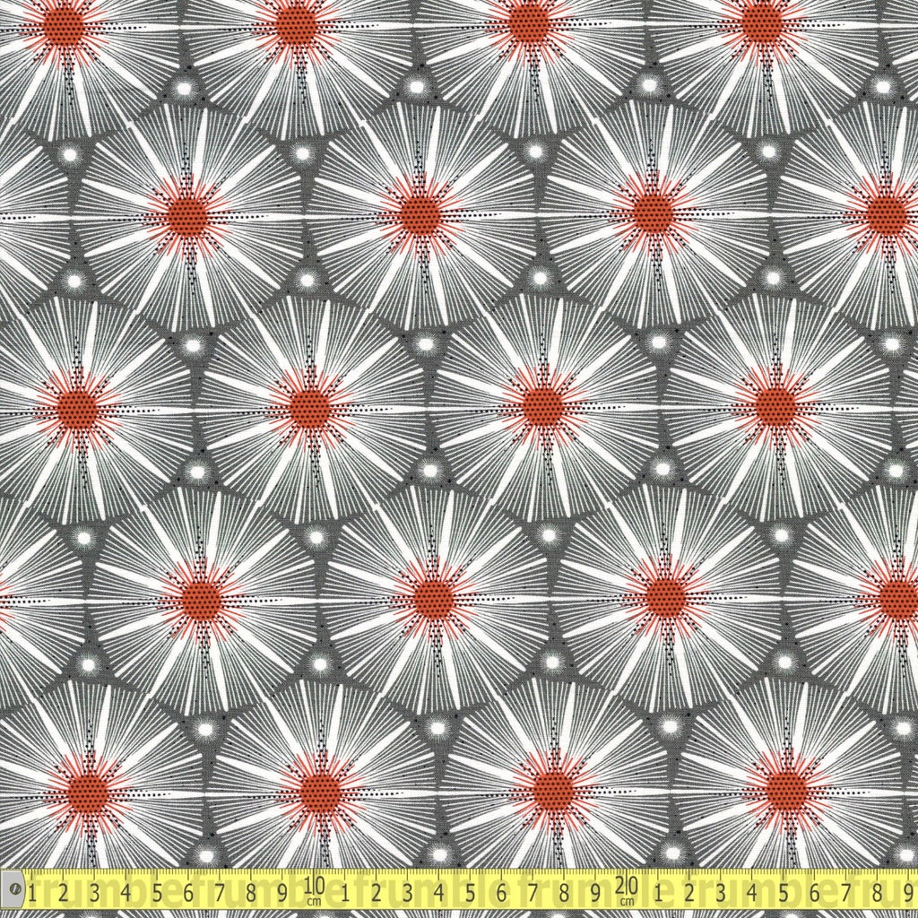 Blast Off Supernova (Grey) GOTS Organic Fabric by Cloud 9