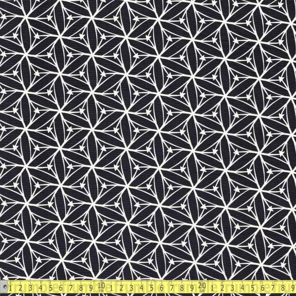 Blast Off Stargazer (Dark Grey) GOTS Organic Fabric by Cloud 9