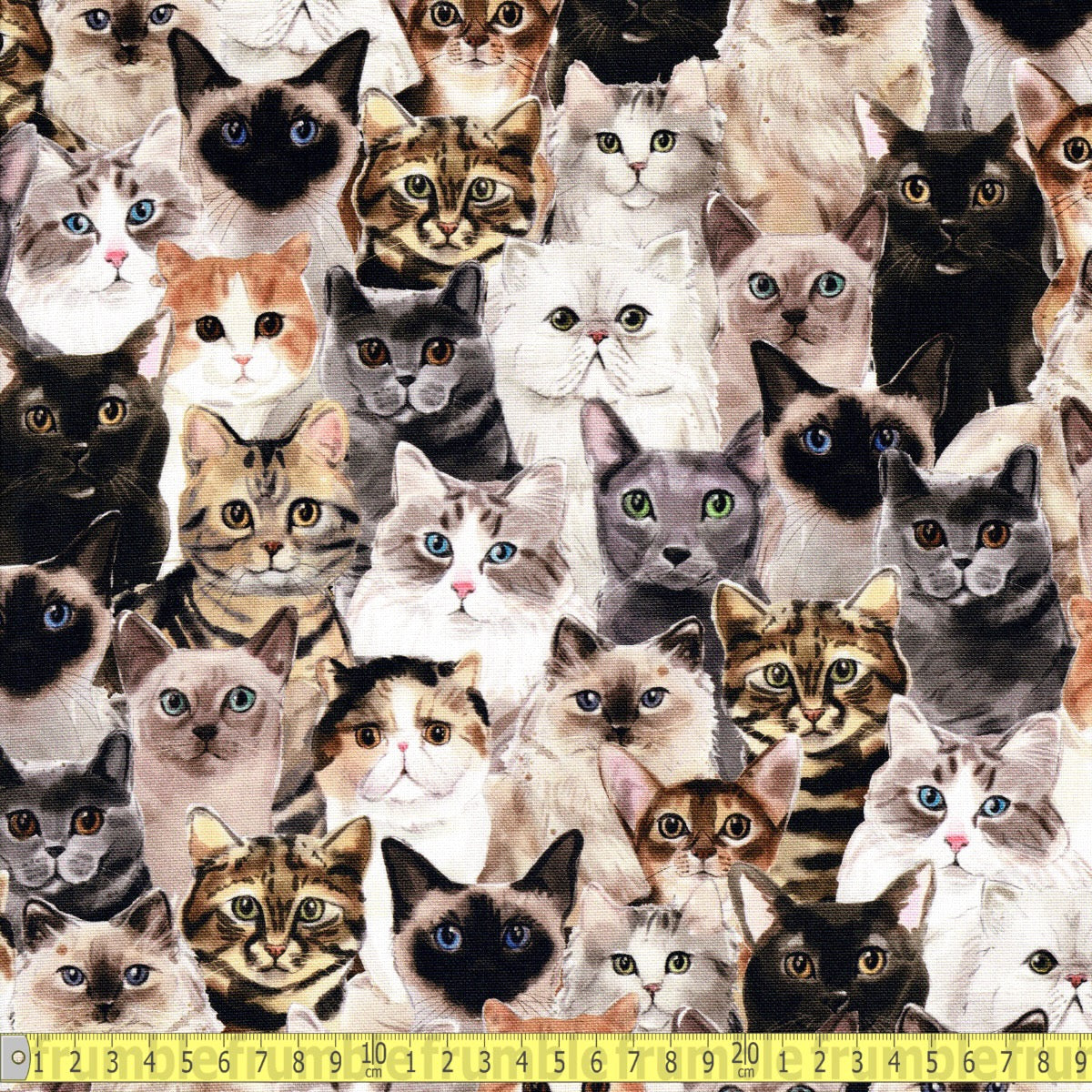 Cotton CANVAS - Cat Portraits - Multi - Sewing and Dressmaking Fabric