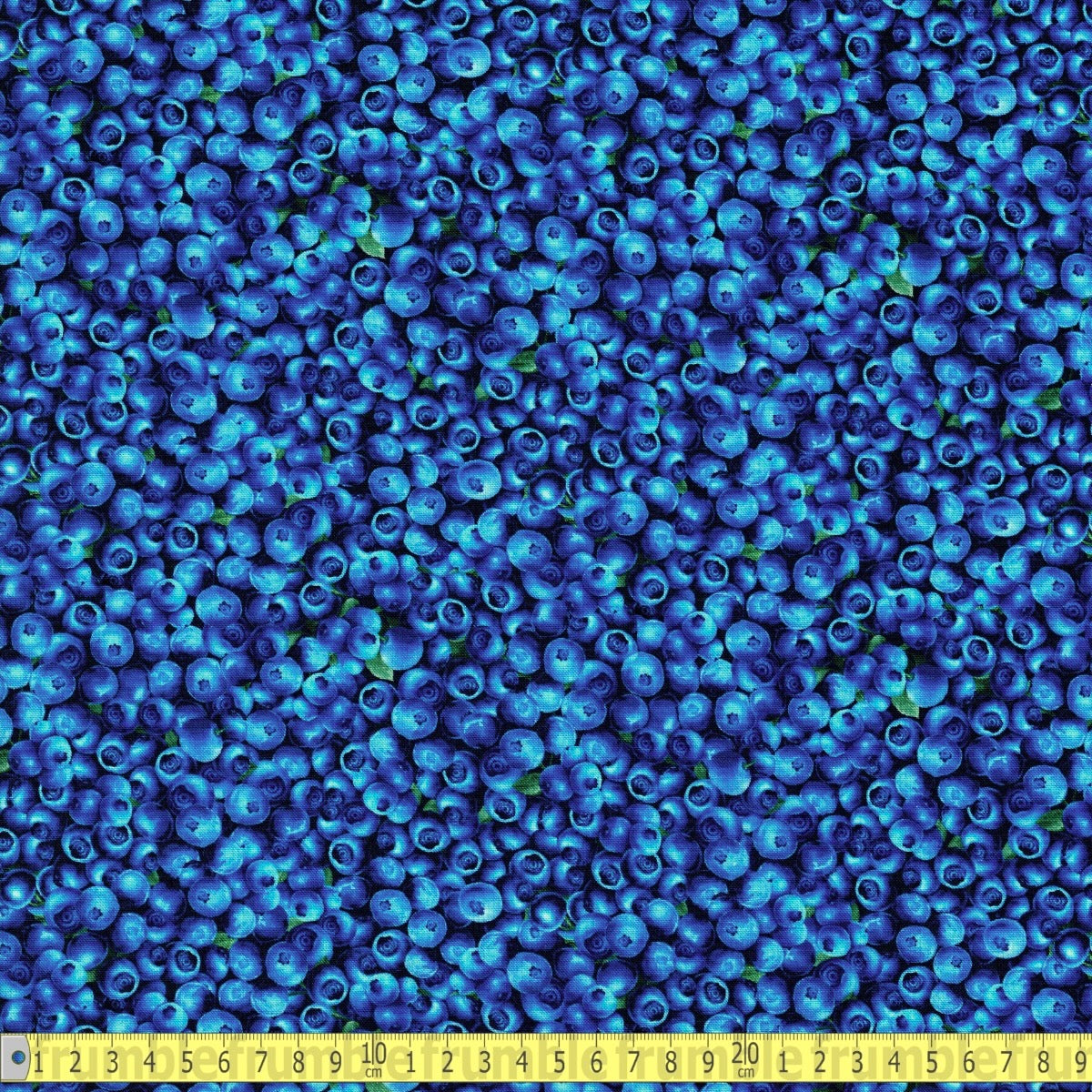 Timeless Treasures - Fruits - Packed Blueberries Blue - Sewing and Dressmaking Fabric