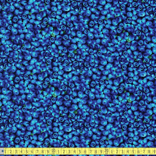 Timeless Treasures - Fruits - Packed Blueberries Blue - Sewing and Dressmaking Fabric
