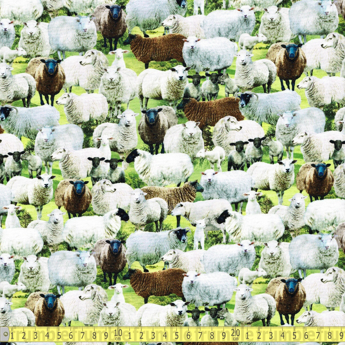 Timeless Treasures - Packed Sheep Field - Sage - Sewing and Dressmaking Fabric