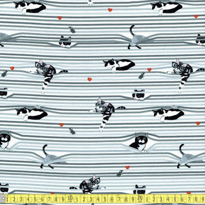 Timeless Treasures - Peekaboo Shade Cats - White - Sewing and Dressmaking Fabric