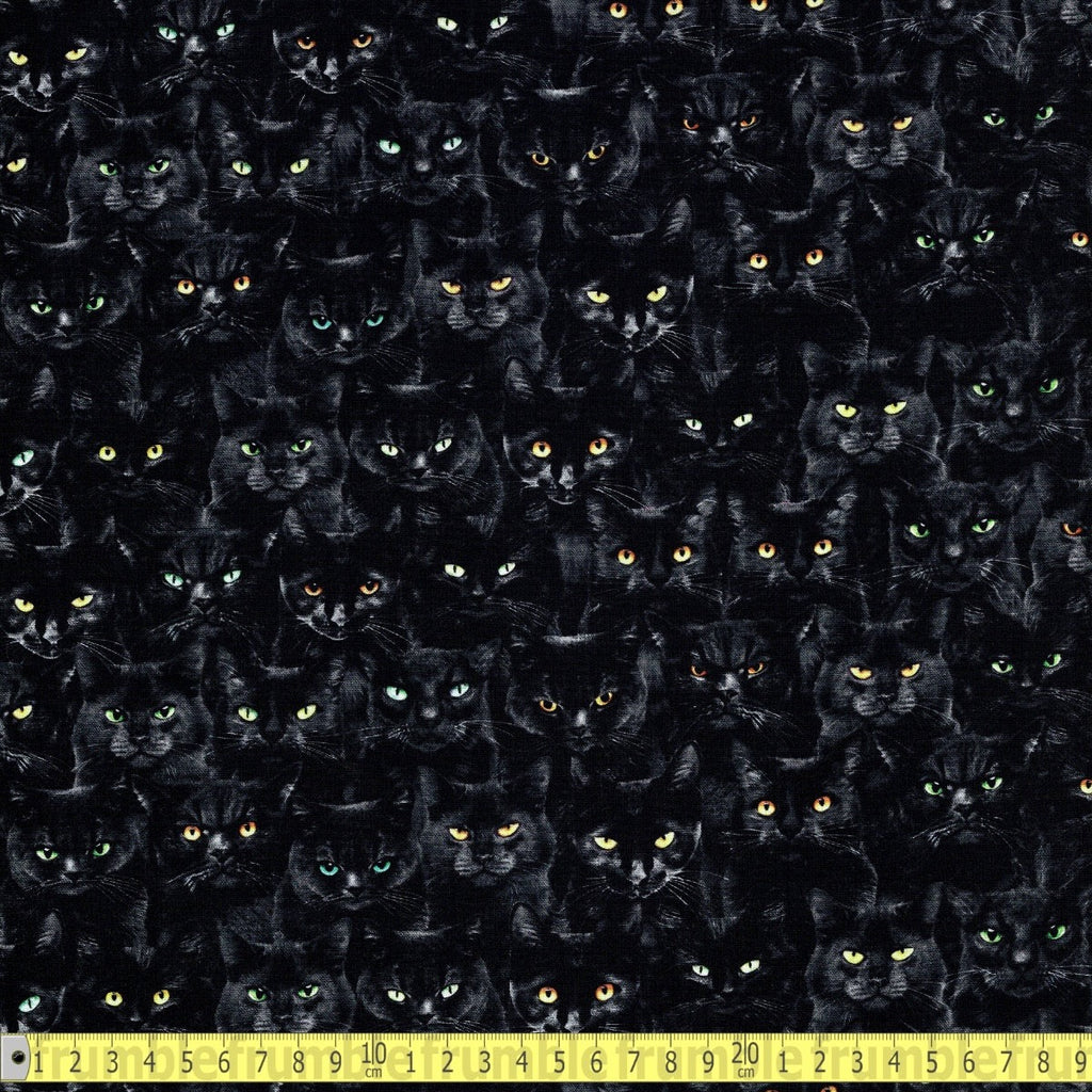 Timeless Treasures - Wicked Black Cats Magic - Black - Sewing and Dressmaking Fabric