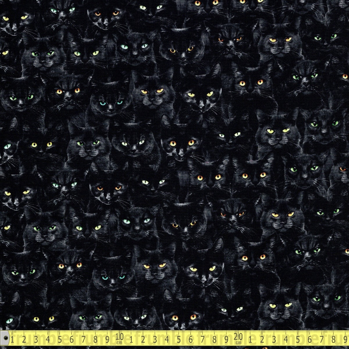 Timeless Treasures - Wicked Black Cats Magic - Black - Sewing and Dressmaking Fabric