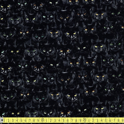 Timeless Treasures - Wicked Black Cats Magic - Black - Sewing and Dressmaking Fabric