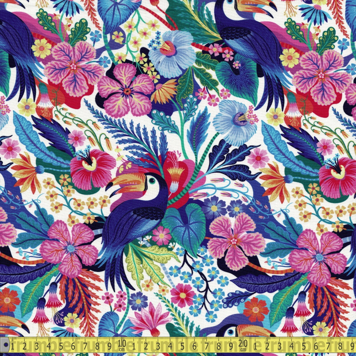 Toucan Play That (Multi) by Dear Stella