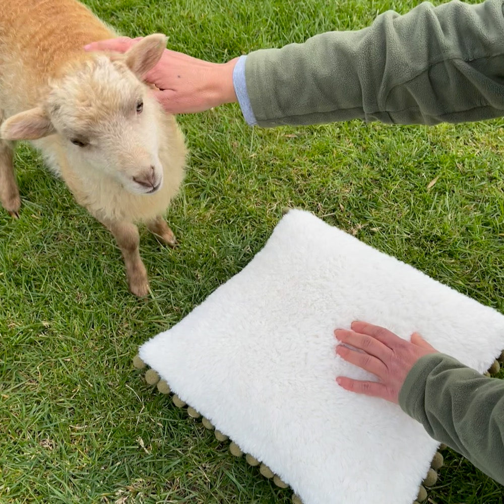 DIY Cushion Panel - Caramel Sheep - Linen Look Canvas
