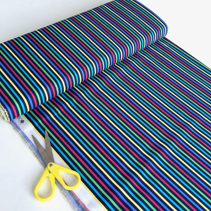 Dinosaur Rainbow Stripe Navy