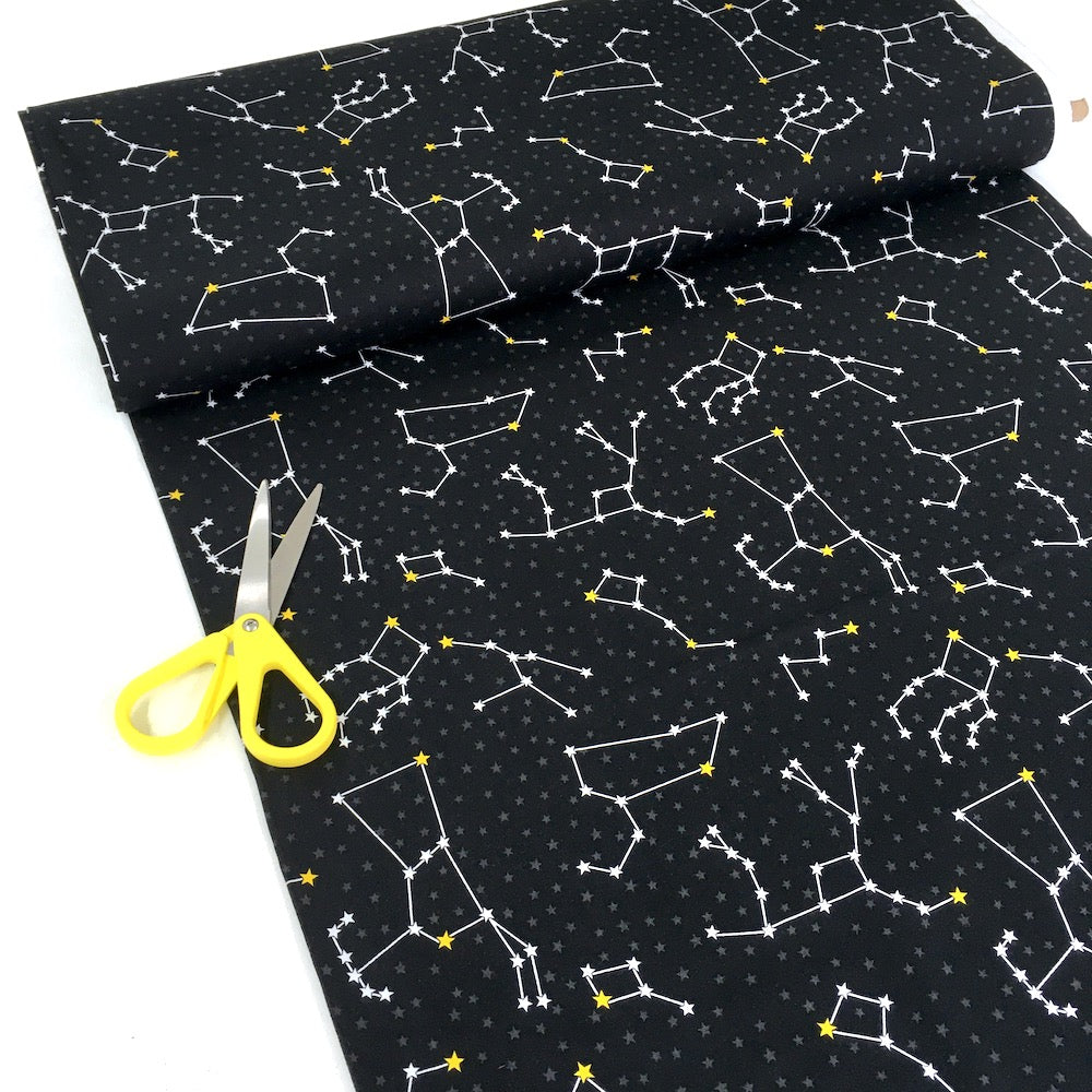 Robert Kaufman - Dino-soar - Constellations Black