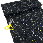 Robert Kaufman - Dino-soar - Constellations Black
