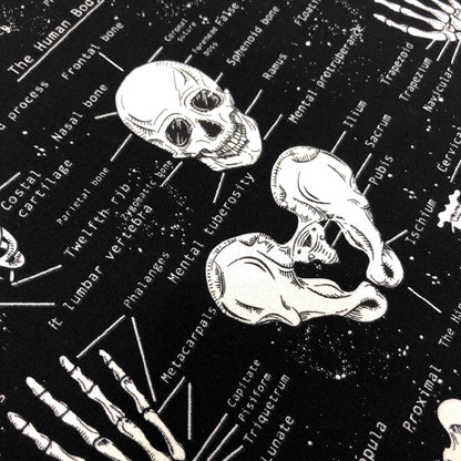 Glow In The Dark Skeletons - Frumble Fabrics