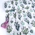Dear Stella - Rae Ritchie Favorites - Cacti White